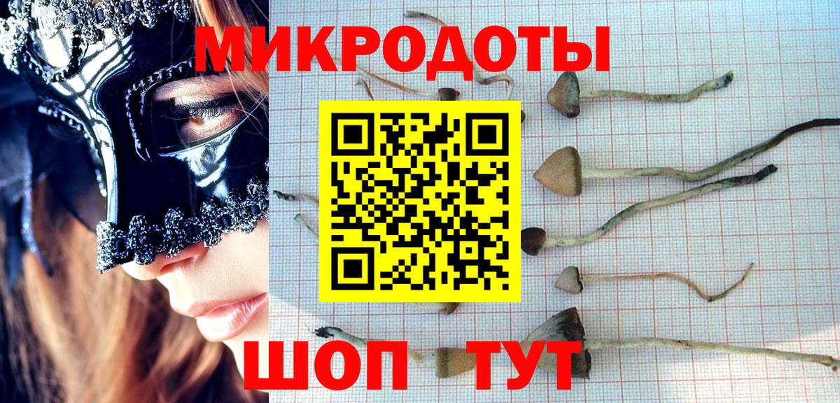 Псилоцибиновые грибы MAGIC MUSHROOMS  Псилоцибиновые грибы MAGIC MUSHROOMS  Вход с VPN  Южноуральск 